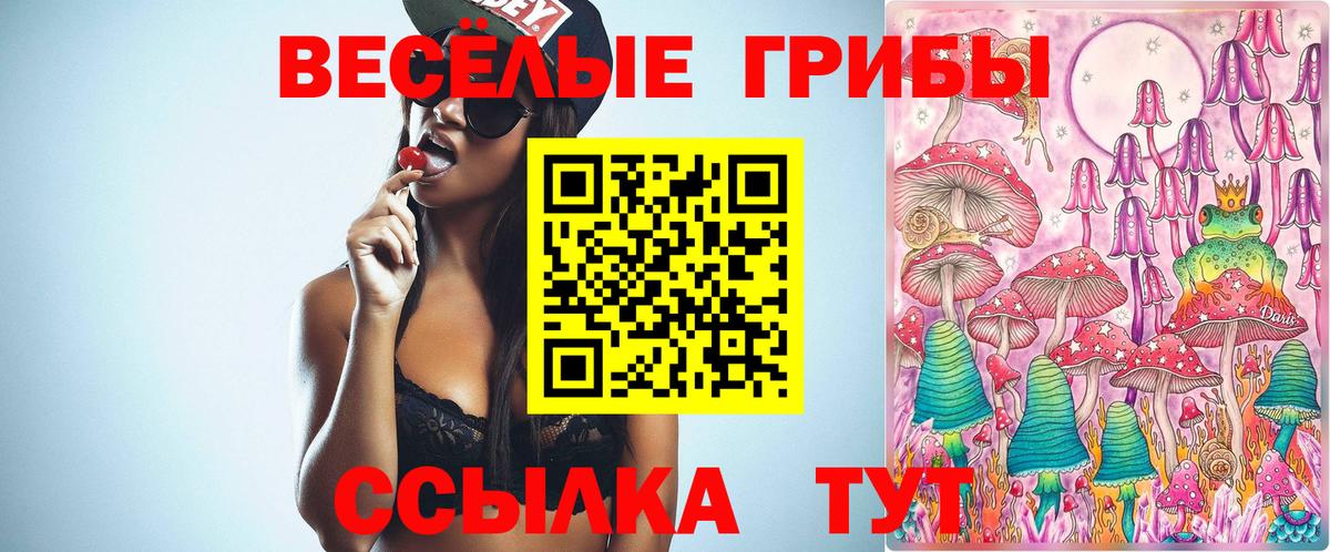 Омск  Псилоцибиновые грибы прущие грибы  Вход с VPN 
