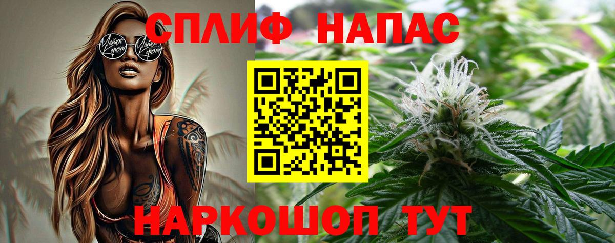 Каннабис OG Kush Омск